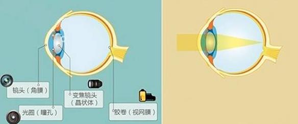 怎么佩戴老花鏡？驗光 品牌 質(zhì)量 保養(yǎng)一個都不能少